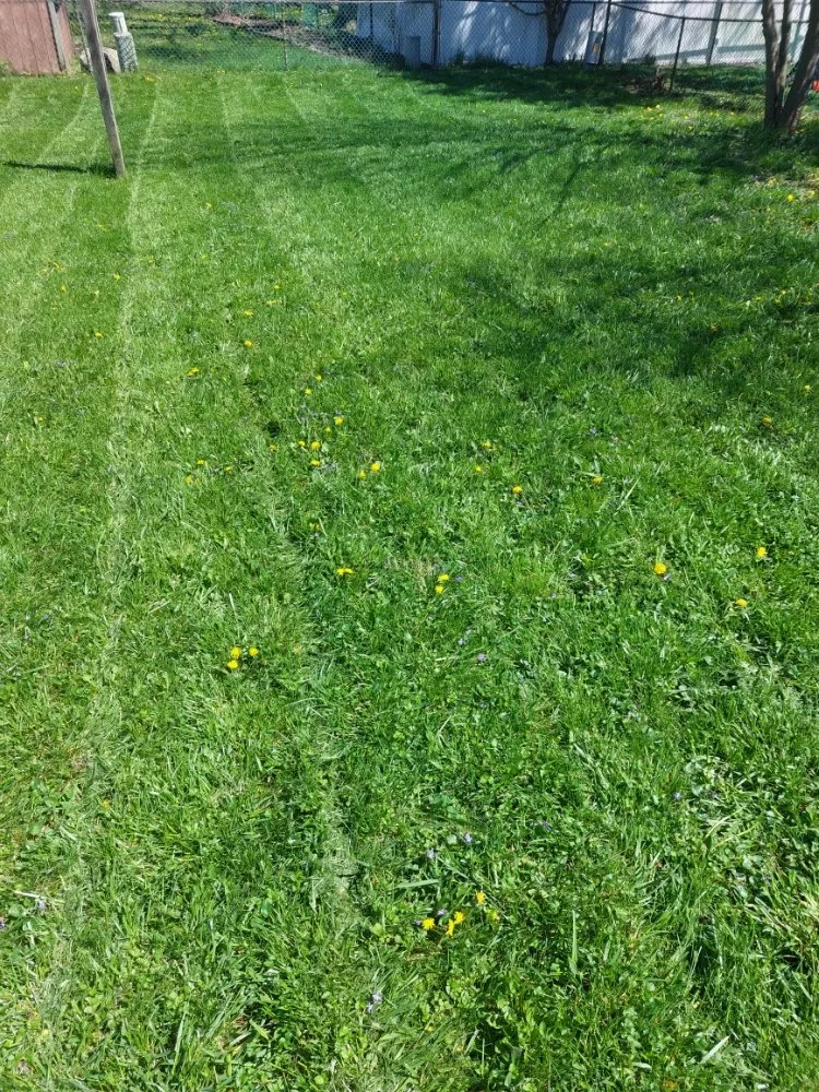 Custom lawn care service in Grove City, OH - Stephens Lawn Care