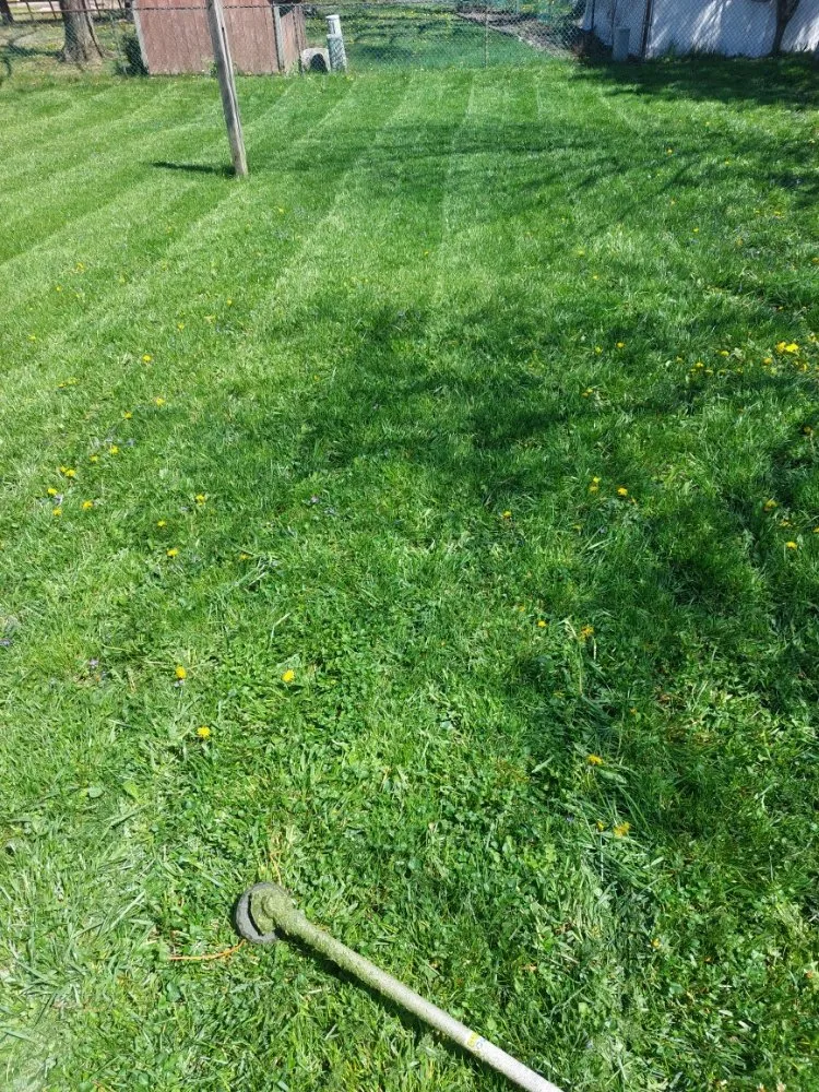 Reliable landscape installation for year-round maintenance in Grove City, OH by Stephens Lawn Care