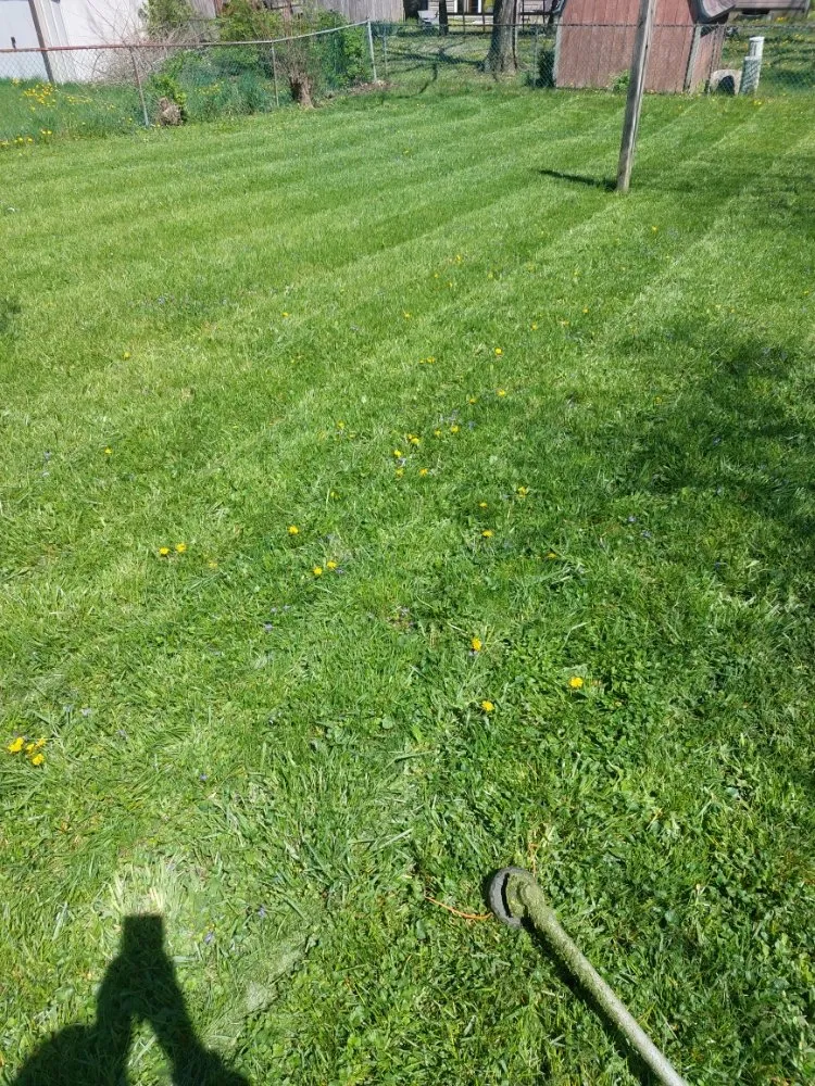 Reliable residential landscaping near you across Grove City, OH - Stephens Lawn Care