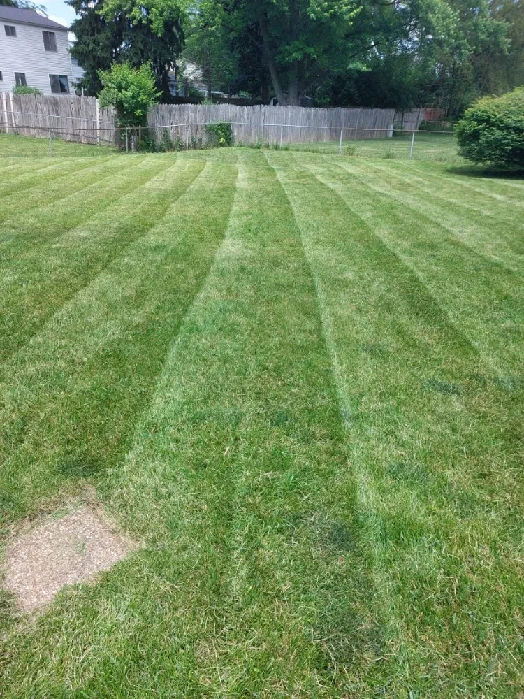 Reliable lawn mowing service experts serving Grove City, OH - Stephens Lawn Care