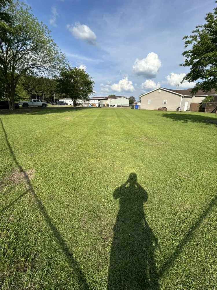 Top-rated landscape design in Fairmont, NC by Stephens Lawn services