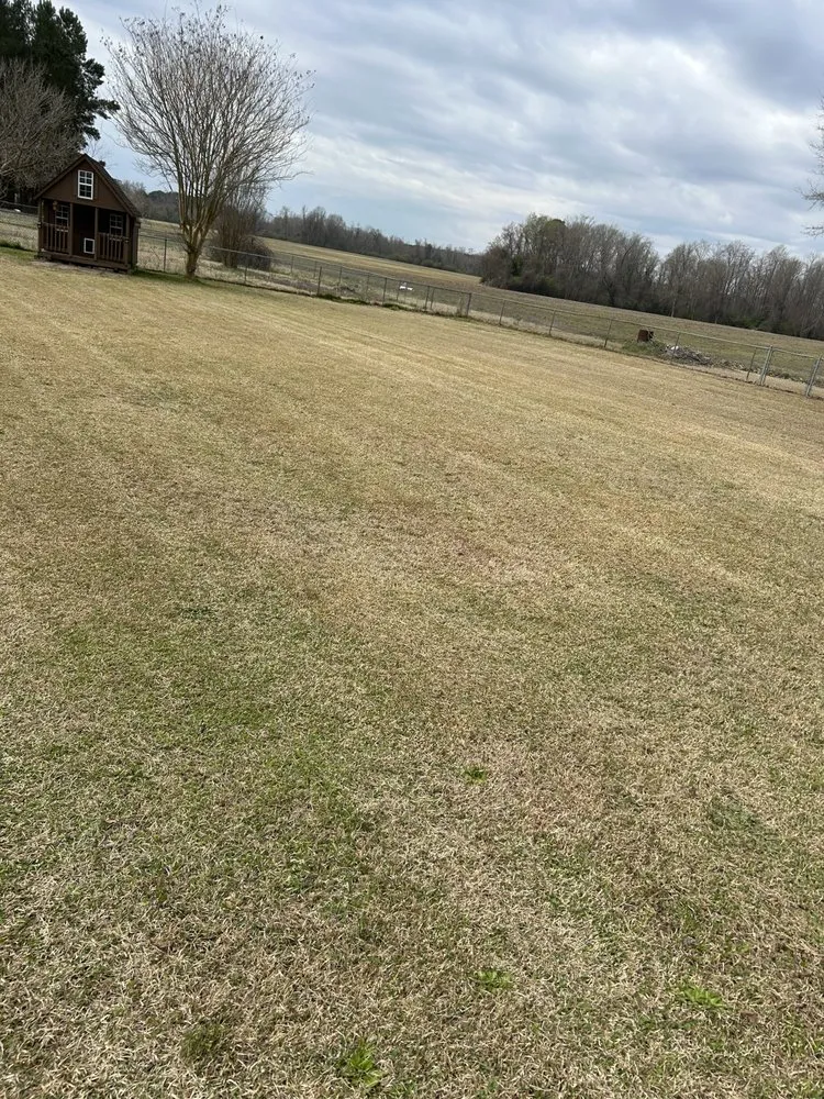 Local garden landscaping for year-round maintenance in Fairmont, NC by Stephens Lawn services