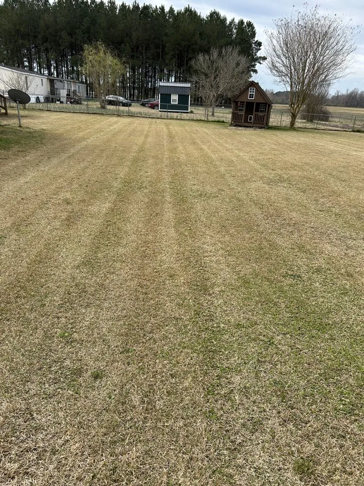 Trusted yard cleanup service in Fairmont, NC - Stephens Lawn services