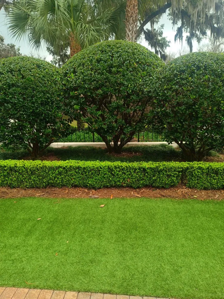 Custom yard cleanup service in Jacksonville, FL by Stephen's Scapes