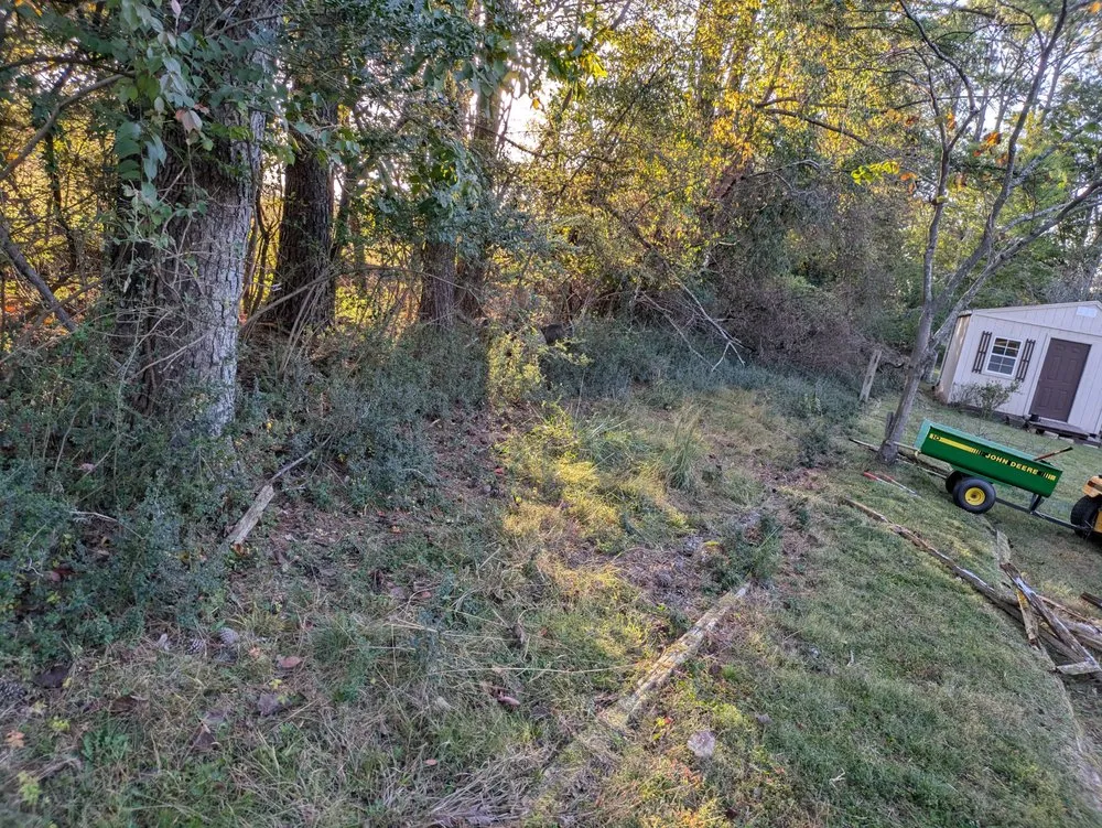 Trusted lawn mowing service for beautiful yards across Hendersonville, TN - Stephens' Superior Mowing