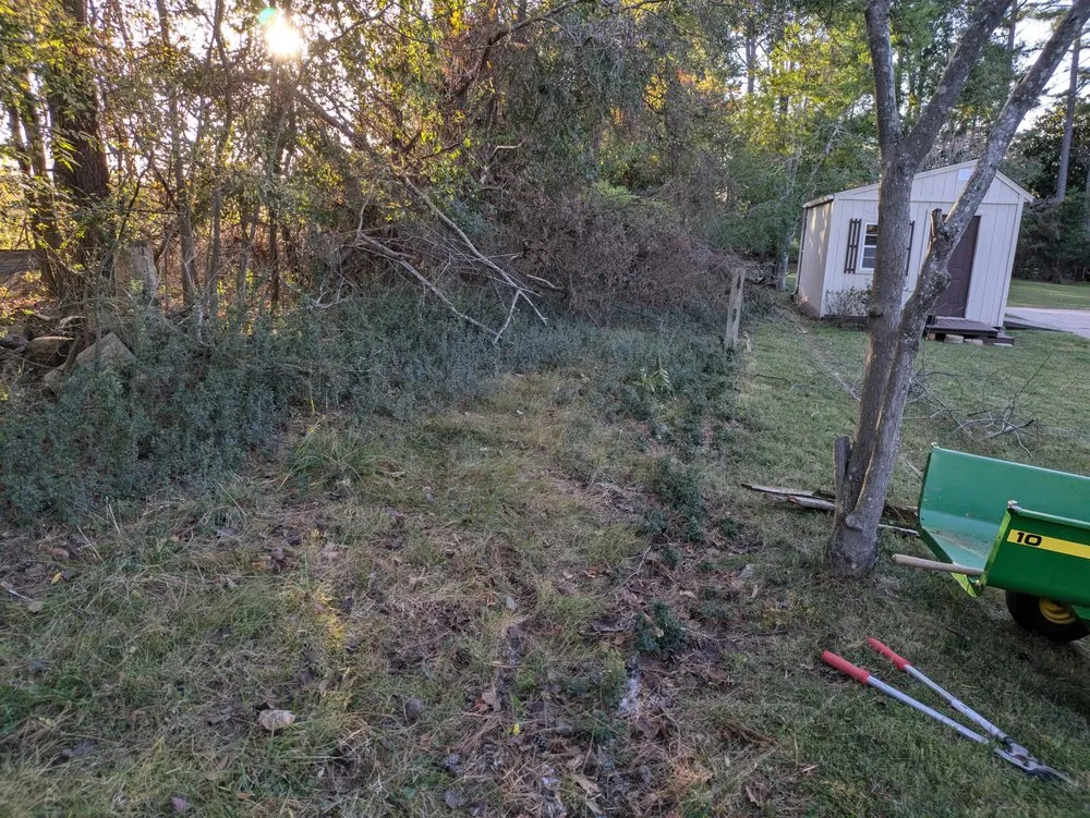 Local lawn care service in Hendersonville, TN by Stephens' Superior Mowing