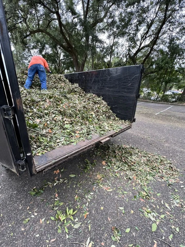 Expert landscaping services in North Charleston, SC by Stephenson Landscapes