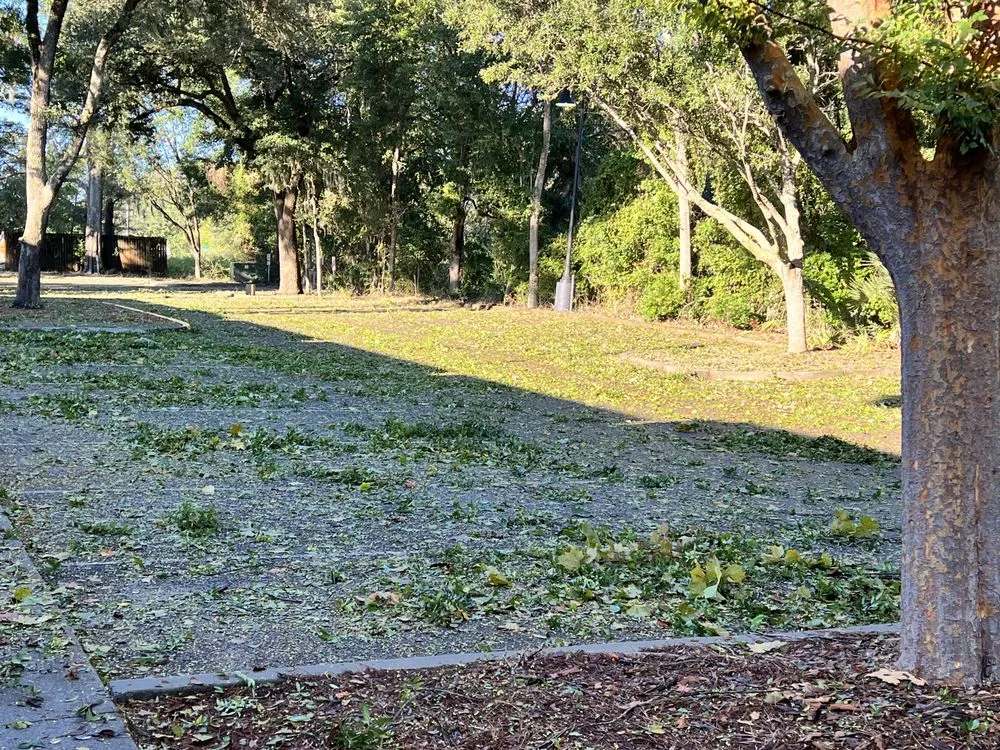 Trusted lawn mowing service near you in North Charleston, SC by Stephenson Landscapes