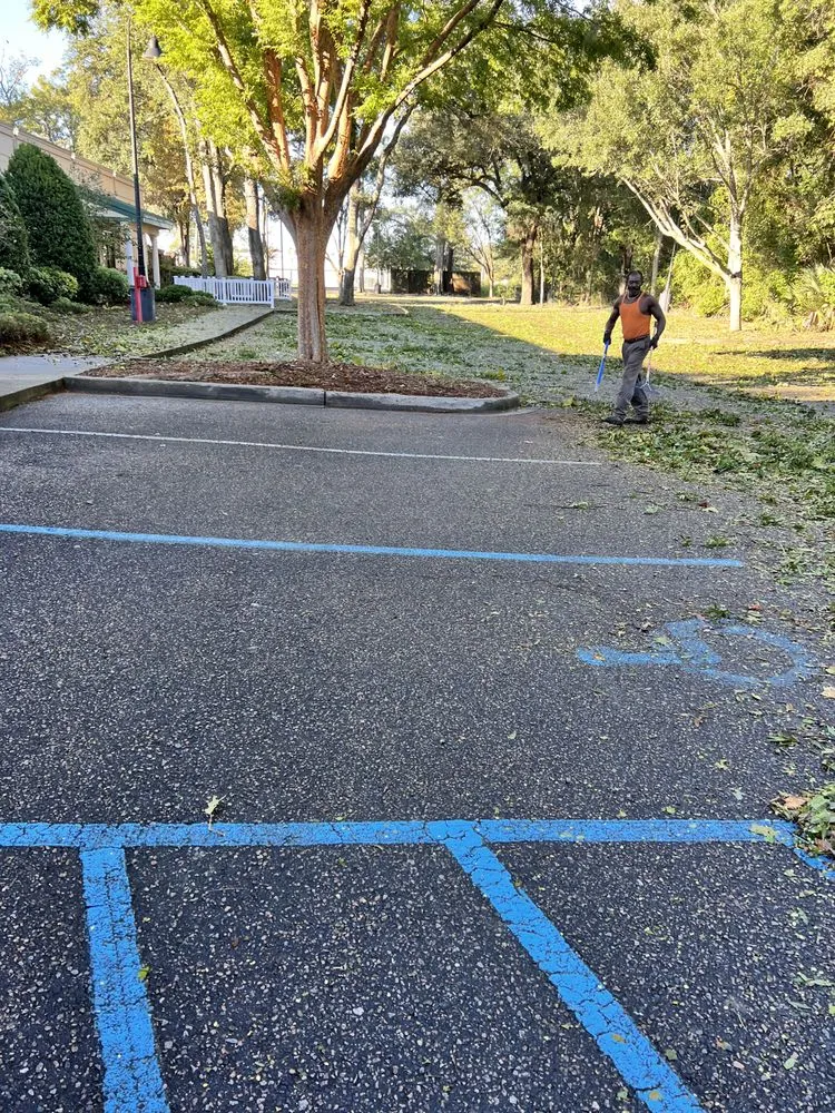 Custom yard cleanup service in North Charleston, SC - Stephenson Landscapes