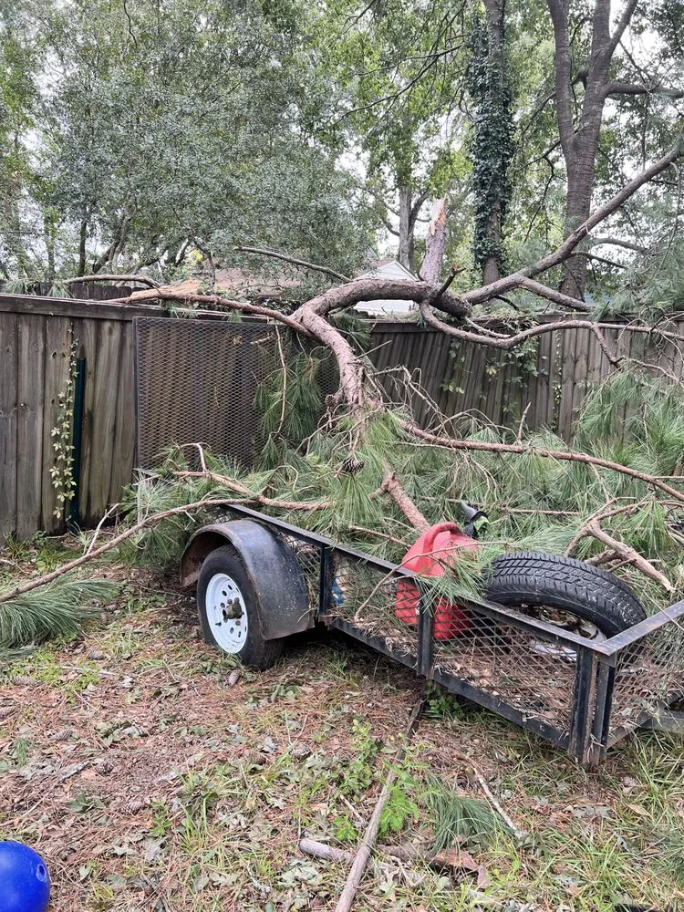 Professional outdoor landscaping for homes in North Charleston, SC by Stephenson Landscapes