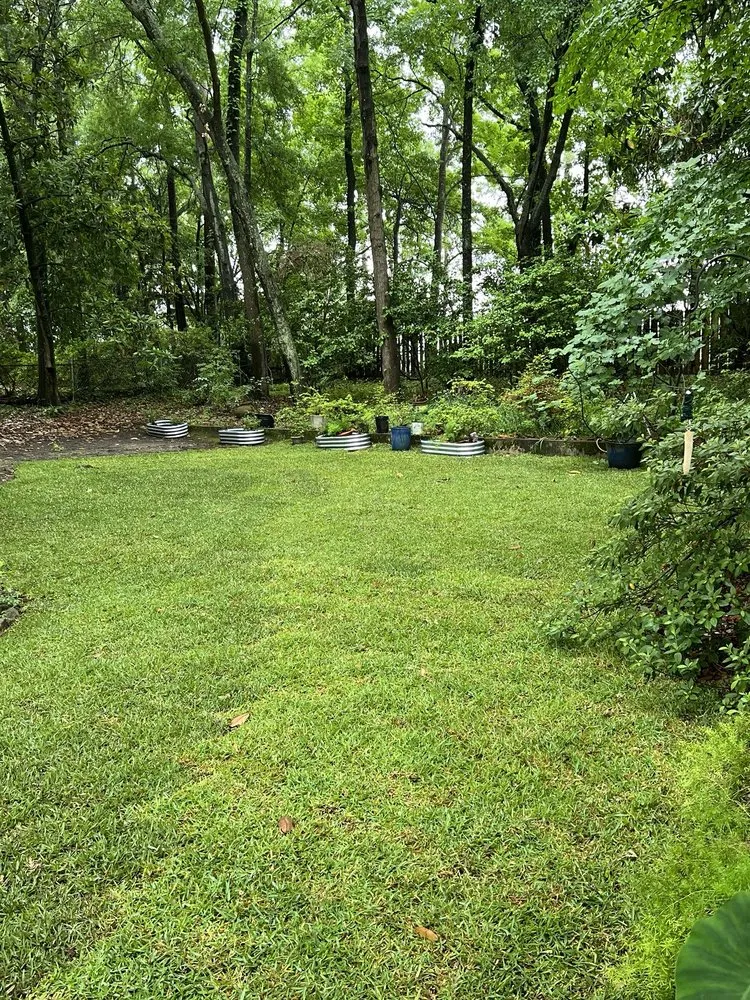 Professional landscaping services for homes across North Charleston, SC - Stephenson Landscapes