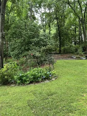 Stephenson Landscapes Logo