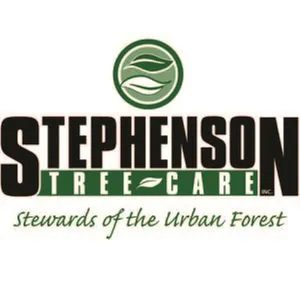 Professional yard maintenance in Madison, WI - Stephenson Tree Care