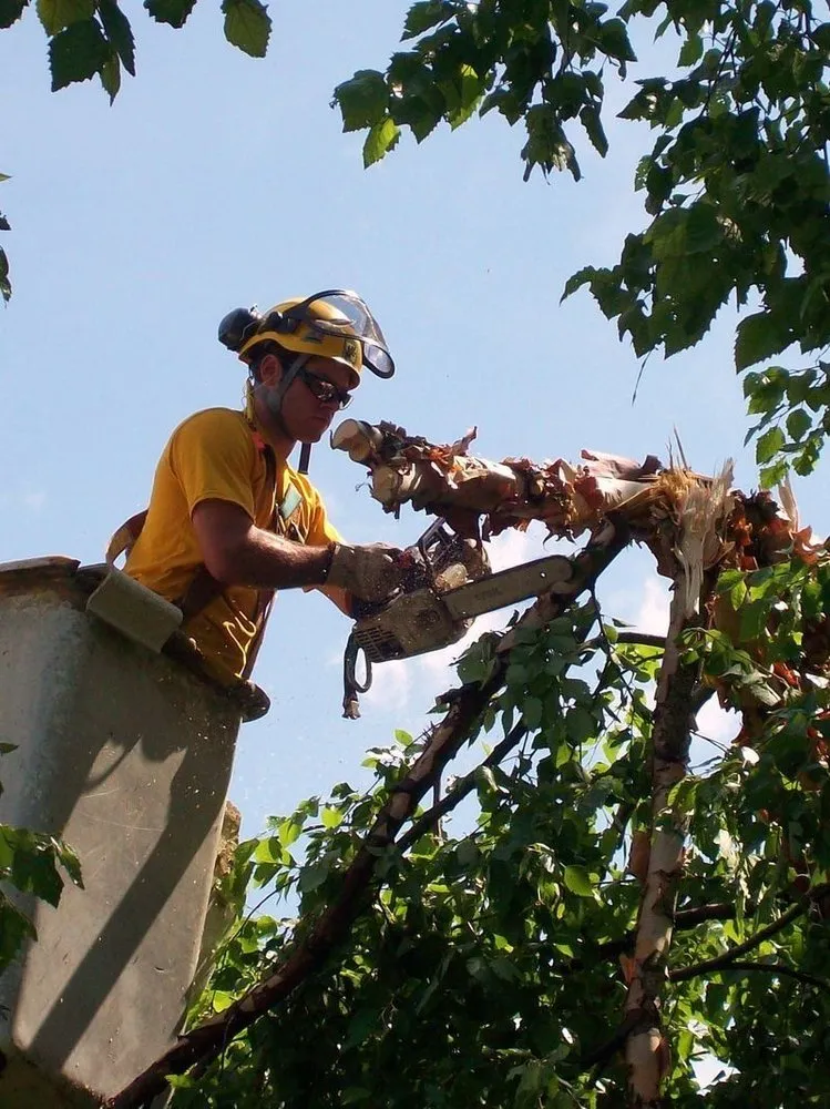 Affordable landscape installation in Madison, WI - Stephenson Tree Care