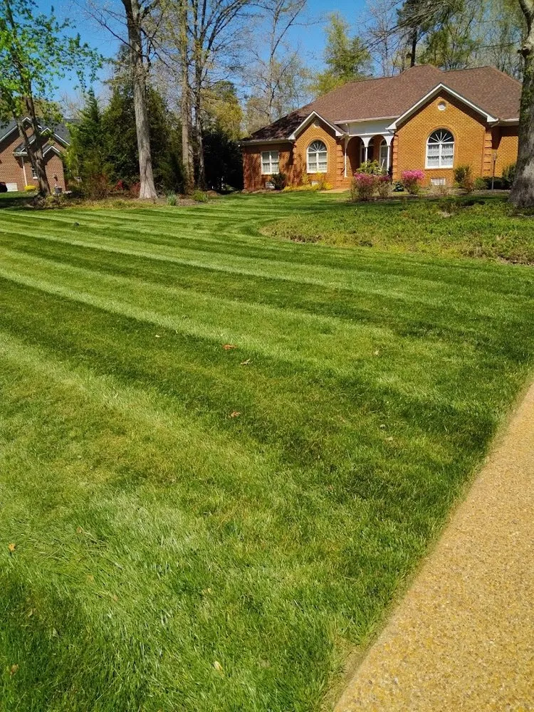 Trusted yard cleanup service experts serving Colonial Heights, VA - Stephenson's Landscaping