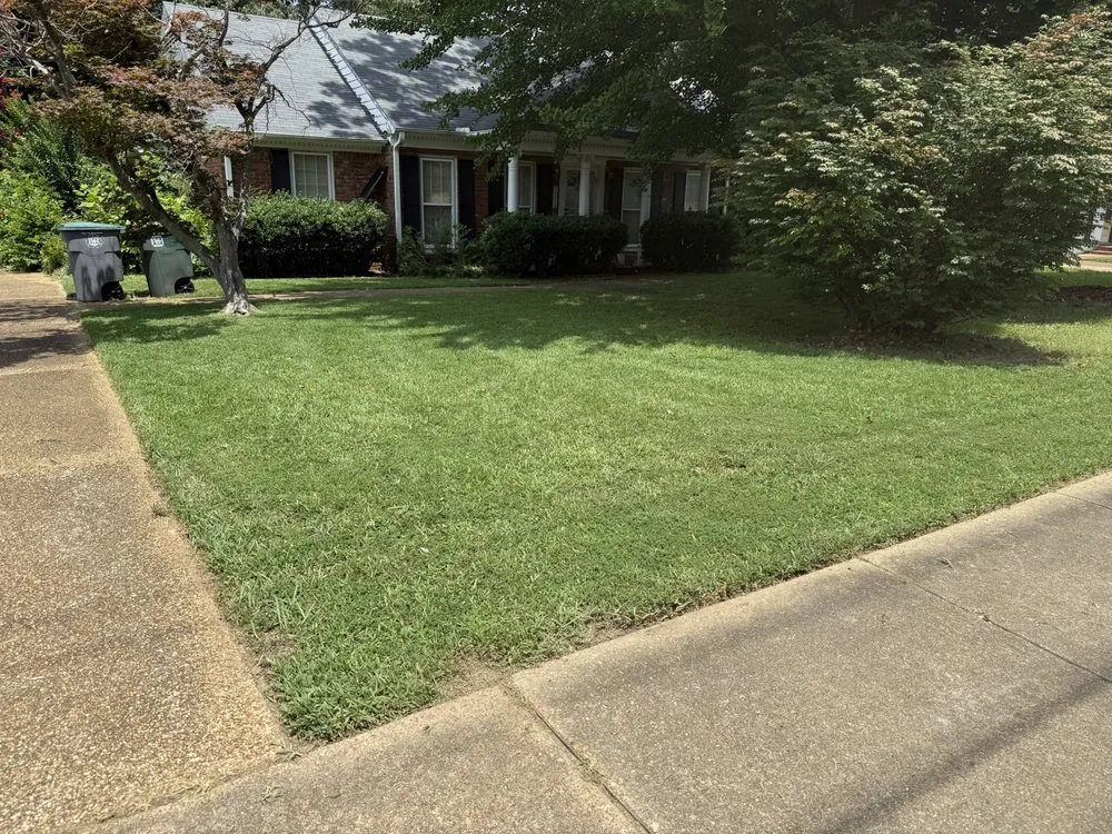 Expert landscape installation in Memphis, TN by Stepney Lawn Care