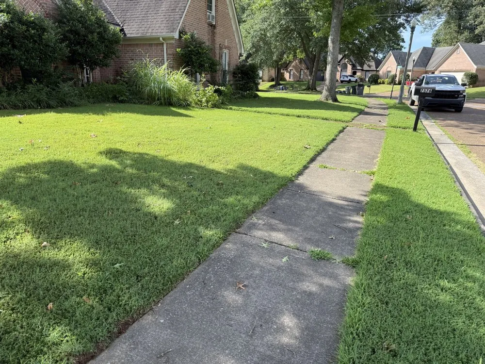 Reliable lawn care service experts serving Memphis, TN - Stepney Lawn Care