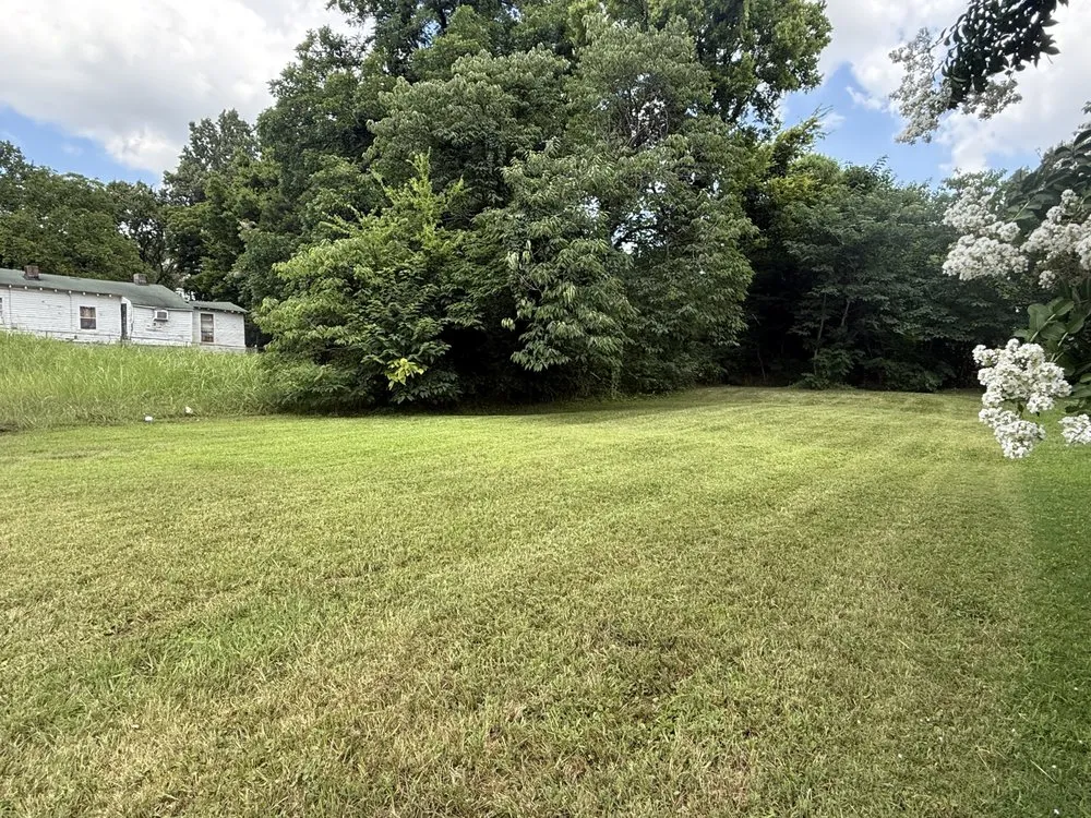 Professional yard maintenance in Memphis, TN - Stepney Lawn Care