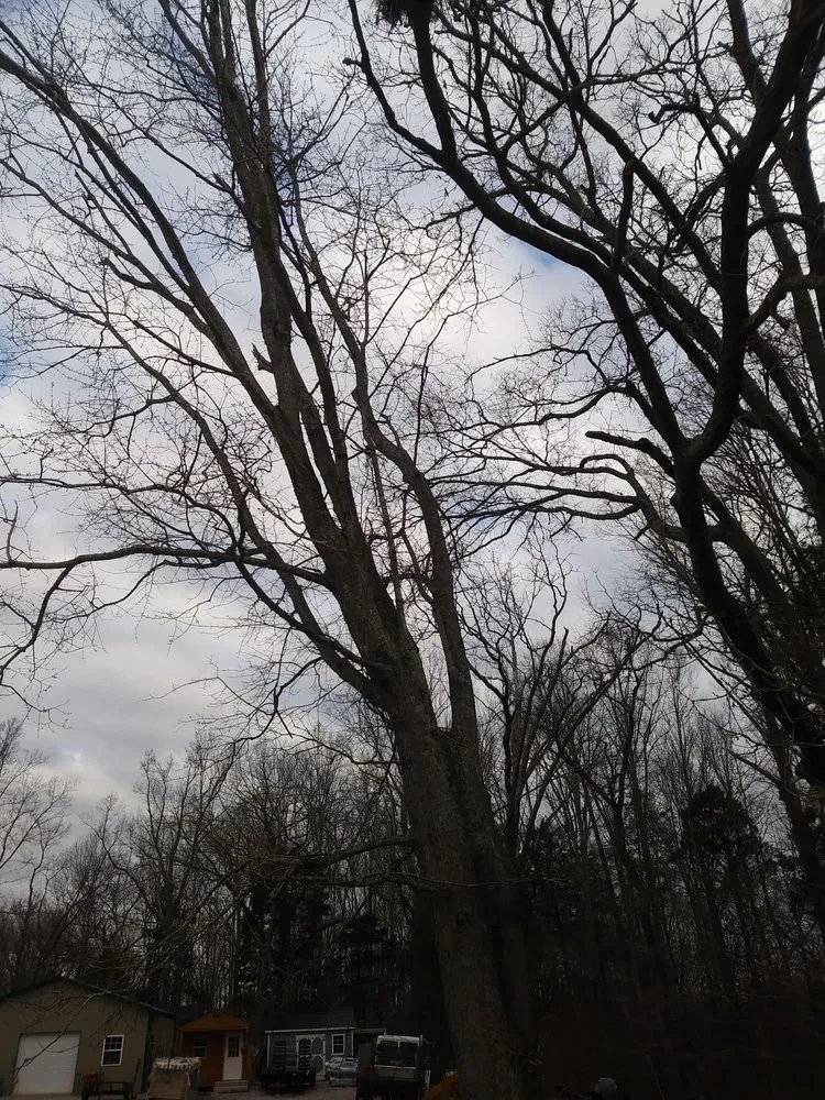 Expert residential landscaping experts serving Crossville, TN - Stepp of Faith