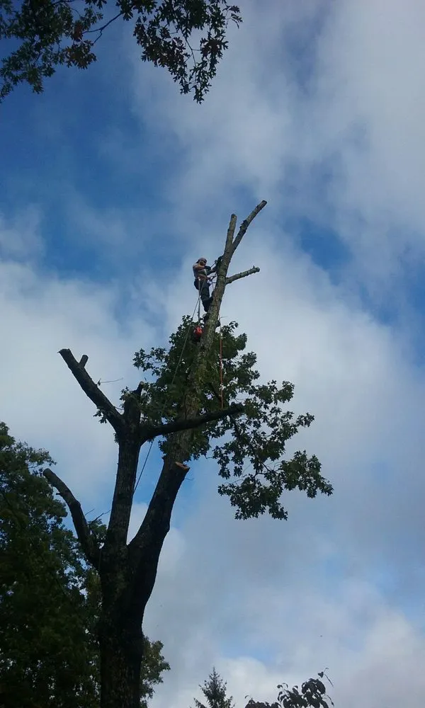 Trusted yard maintenance for year-round maintenance in Crossville, TN by Stepp of Faith