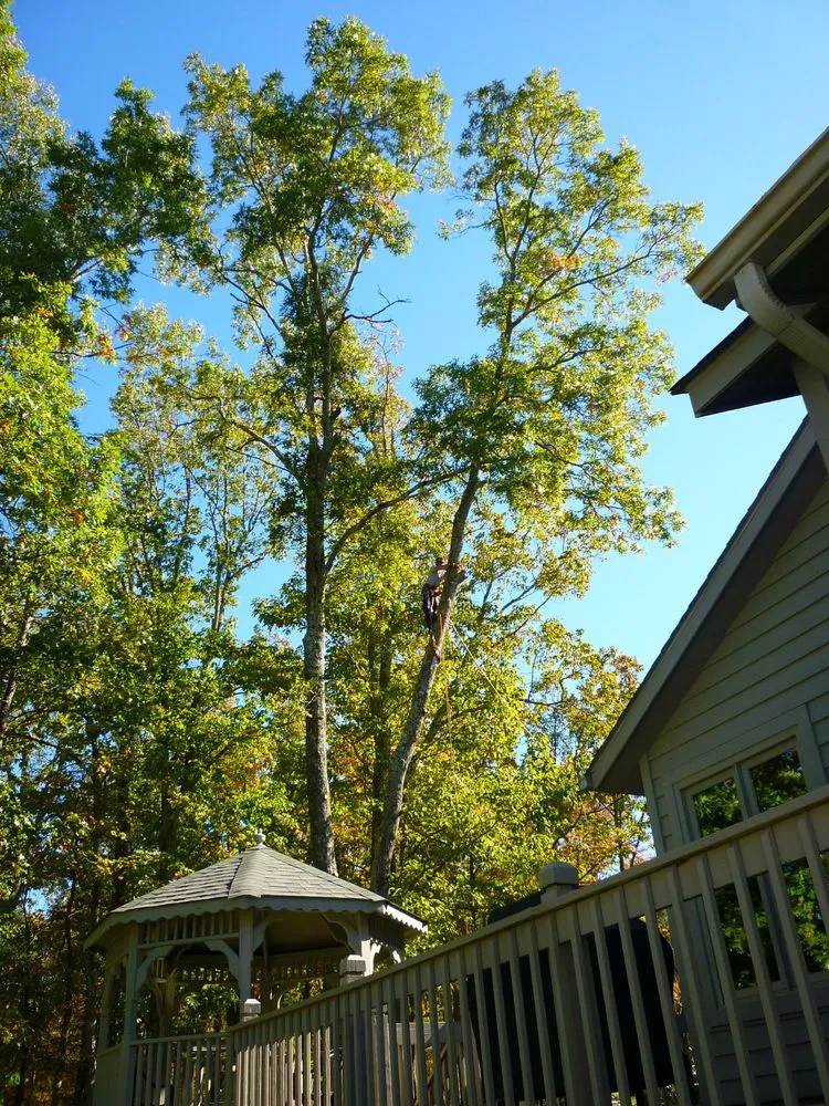 Custom residential landscaping in Crossville, TN by Stepp of Faith