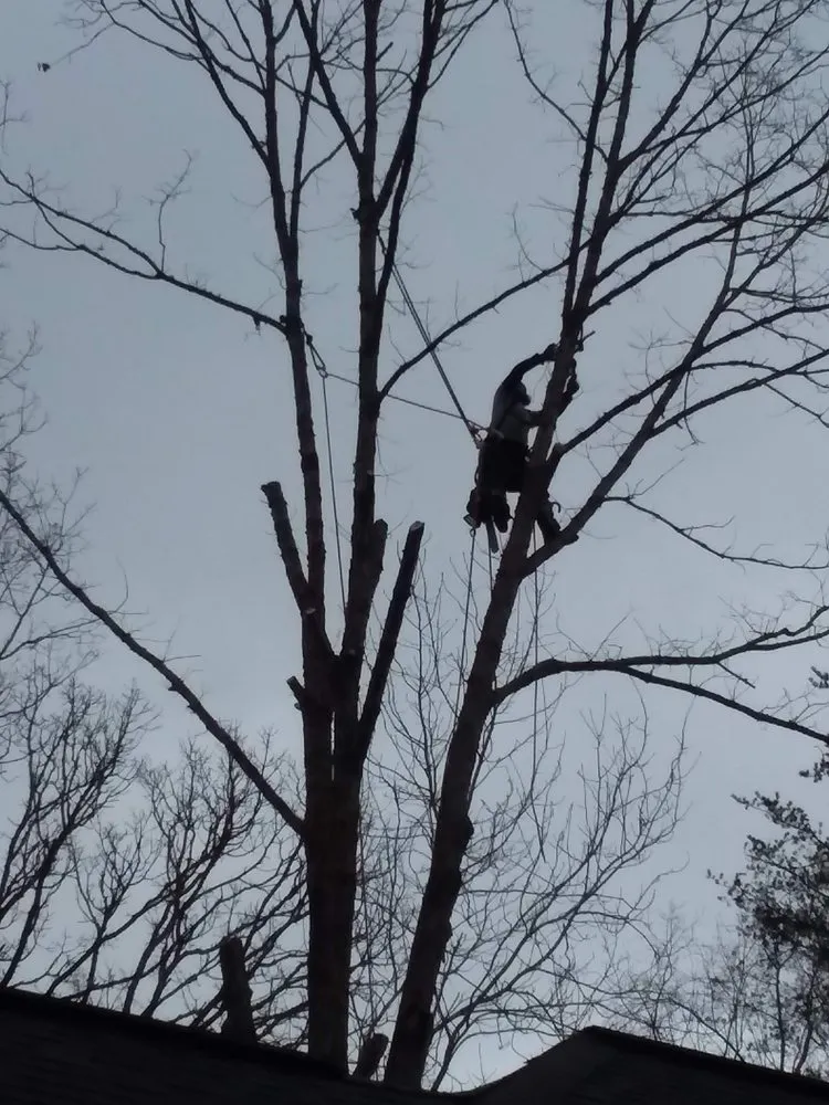 Expert yard cleanup service in Crossville, TN - Stepp of Faith