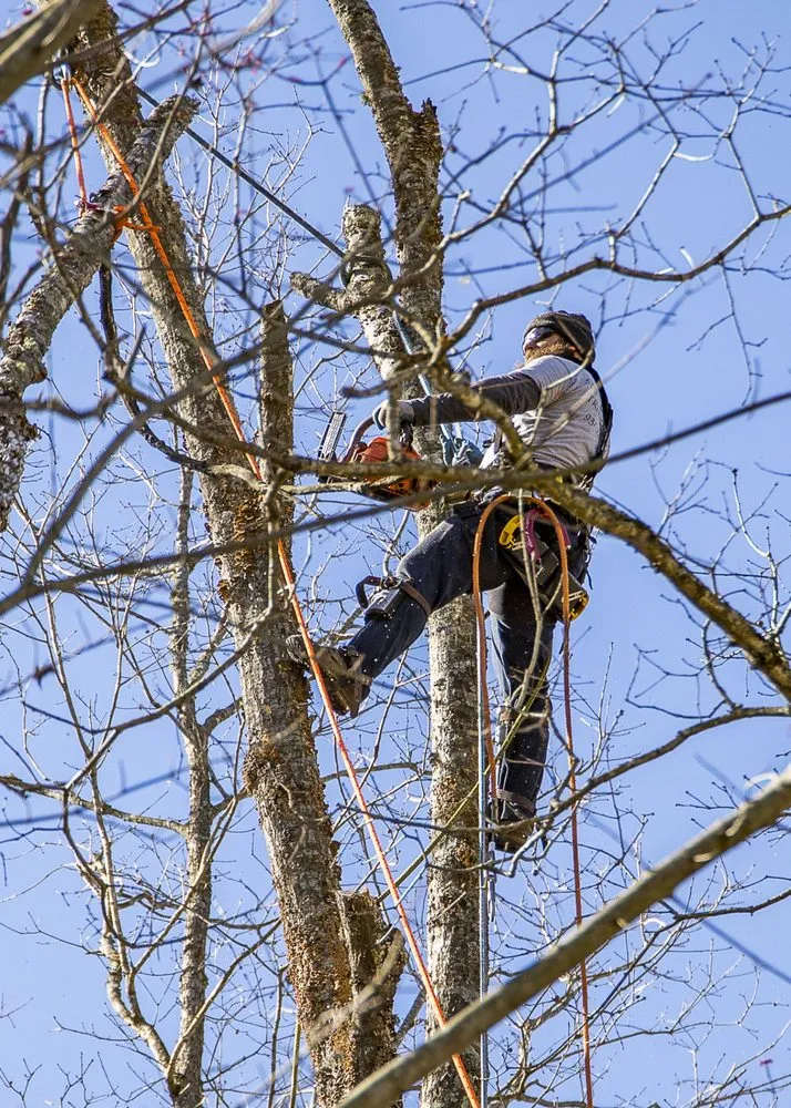 Affordable yard cleanup service in Crossville, TN - Stepp of Faith