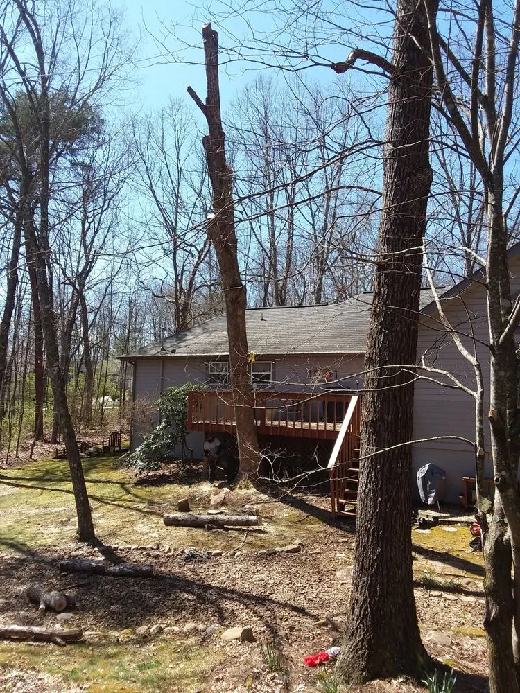 Reliable lawn mowing service for homes across Crossville, TN - Stepp of Faith