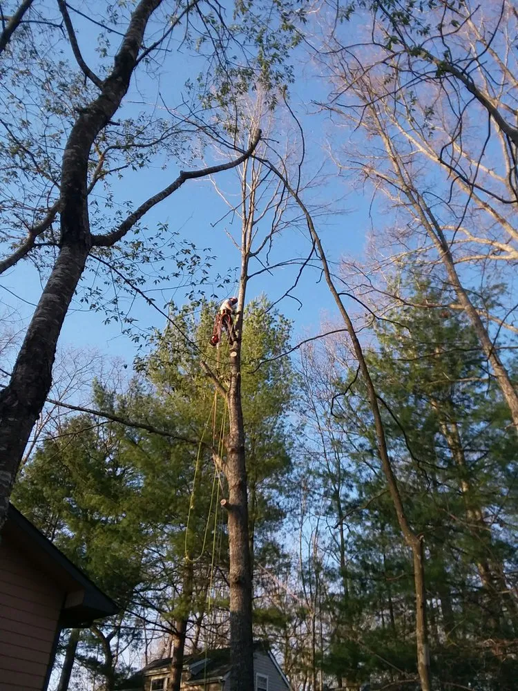 Reliable yard maintenance for residential properties in Crossville, TN by Stepp of Faith