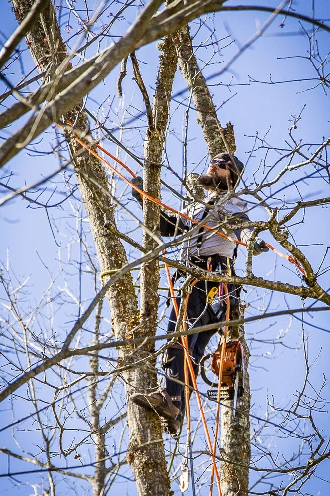 Affordable lawn care service experts serving Crossville, TN - Stepp of Faith