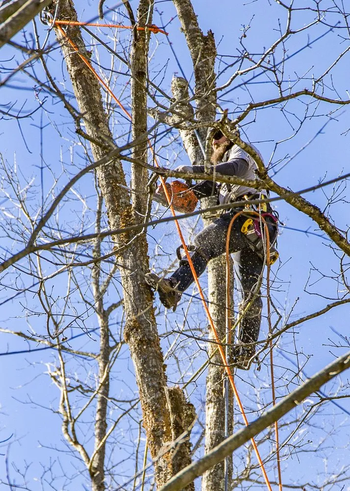 Local landscape design in Crossville, TN by Stepp of Faith