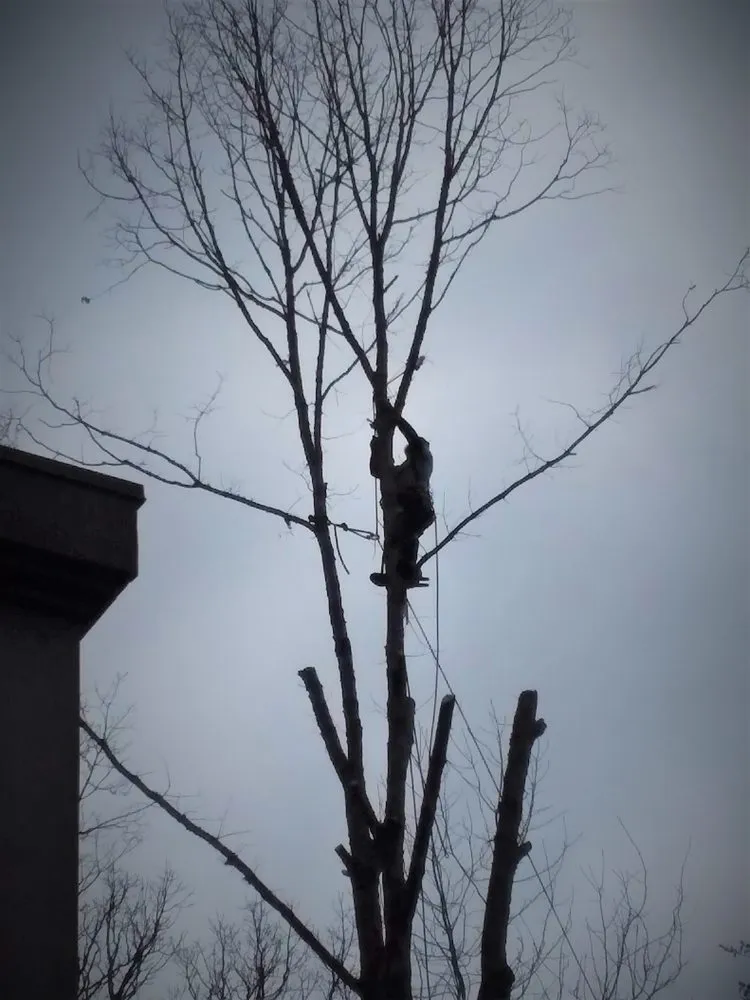 Custom residential landscaping in Crossville, TN - Stepp of Faith