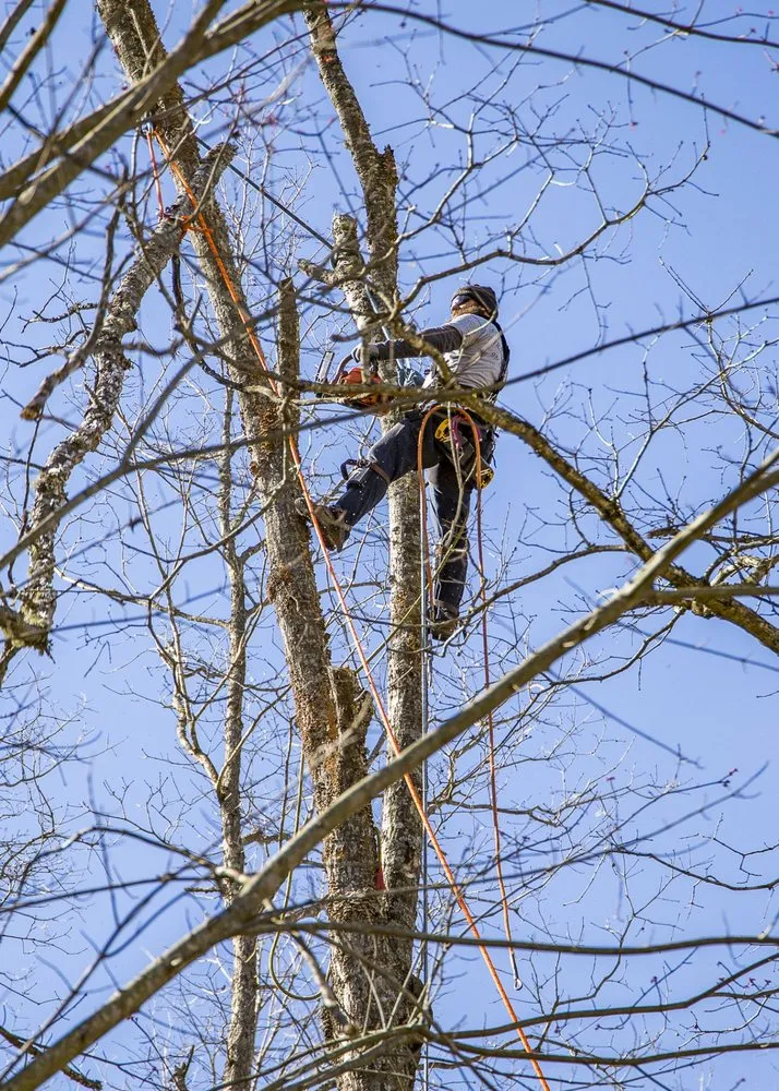 Local lawn mowing service with custom design in Crossville, TN by Stepp of Faith