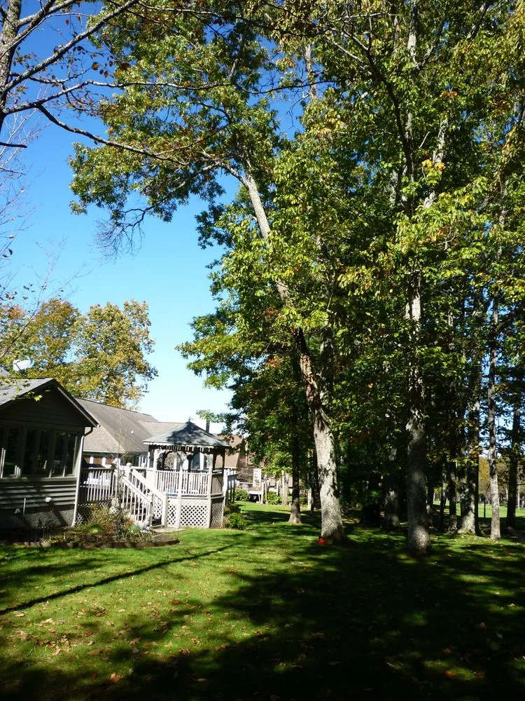 Local yard cleanup service in Crossville, TN - Stepp of Faith