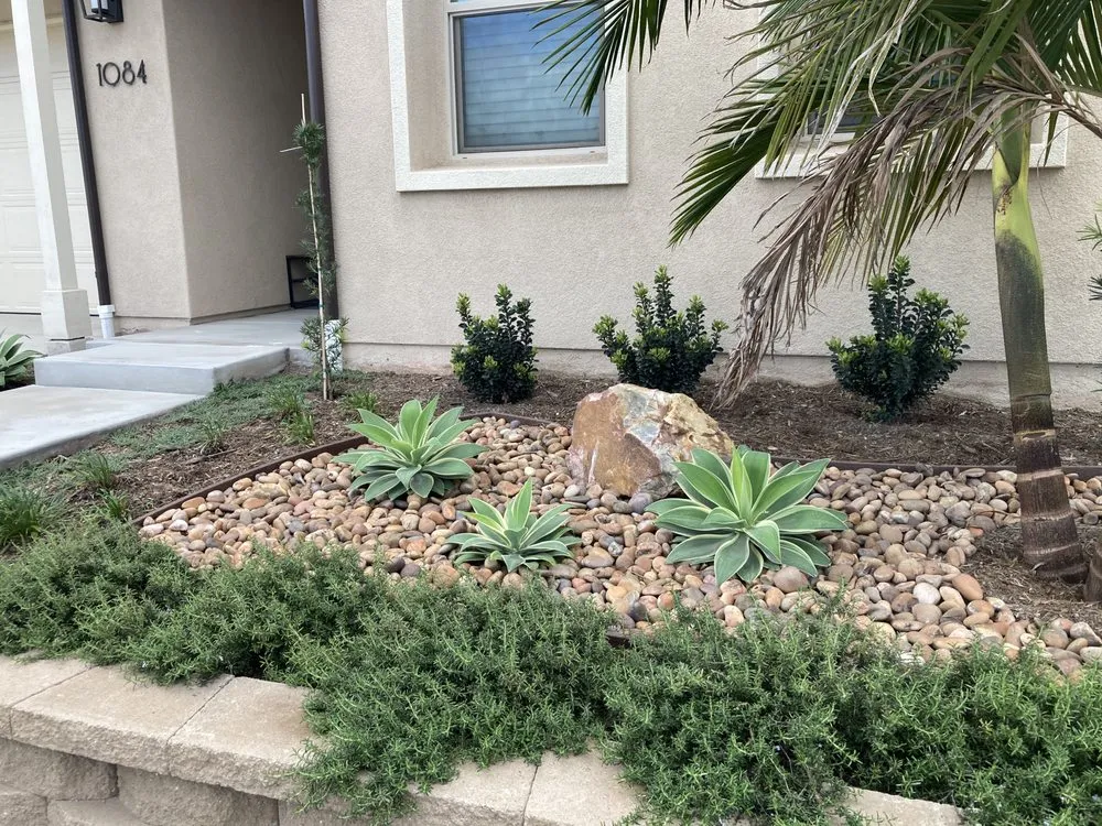 Professional yard maintenance in San Diego, CA by Stepping Stone Landscape Design
