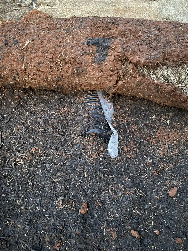 Top-rated landscaping services in Lawrenceville, GA - Stepping Stones Lawn and Landscaping