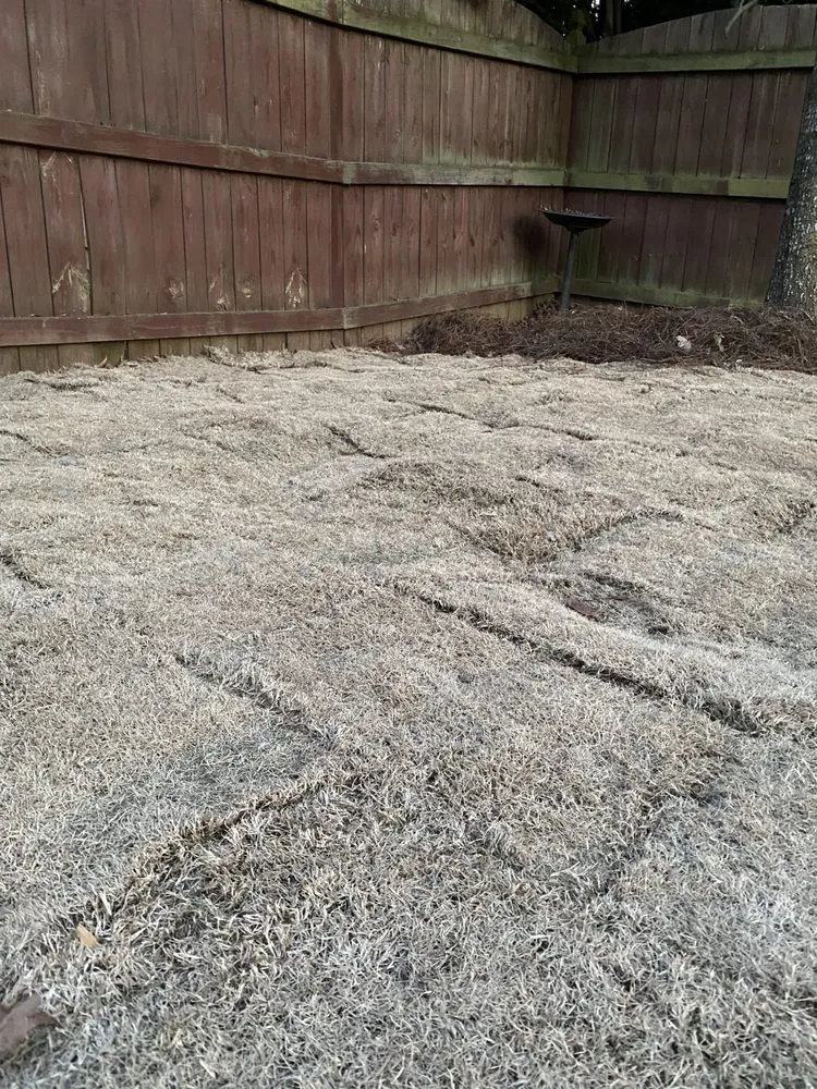 Local landscaping services experts serving Lawrenceville, GA - Stepping Stones Lawn and Landscaping