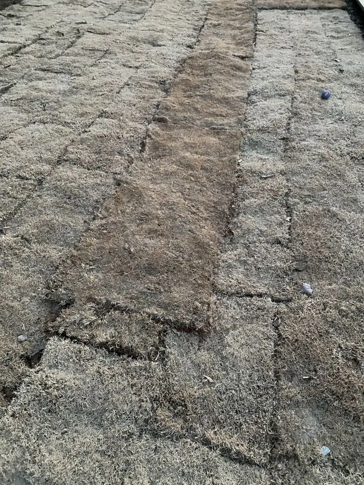 Reliable lawn mowing service for outdoor upgrades in Lawrenceville, GA by Stepping Stones Lawn and Landscaping