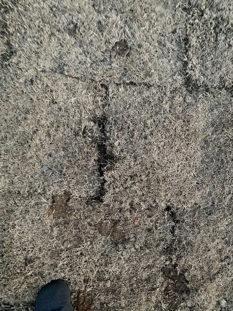 Reliable yard cleanup service experts serving Lawrenceville, GA - Stepping Stones Lawn and Landscaping