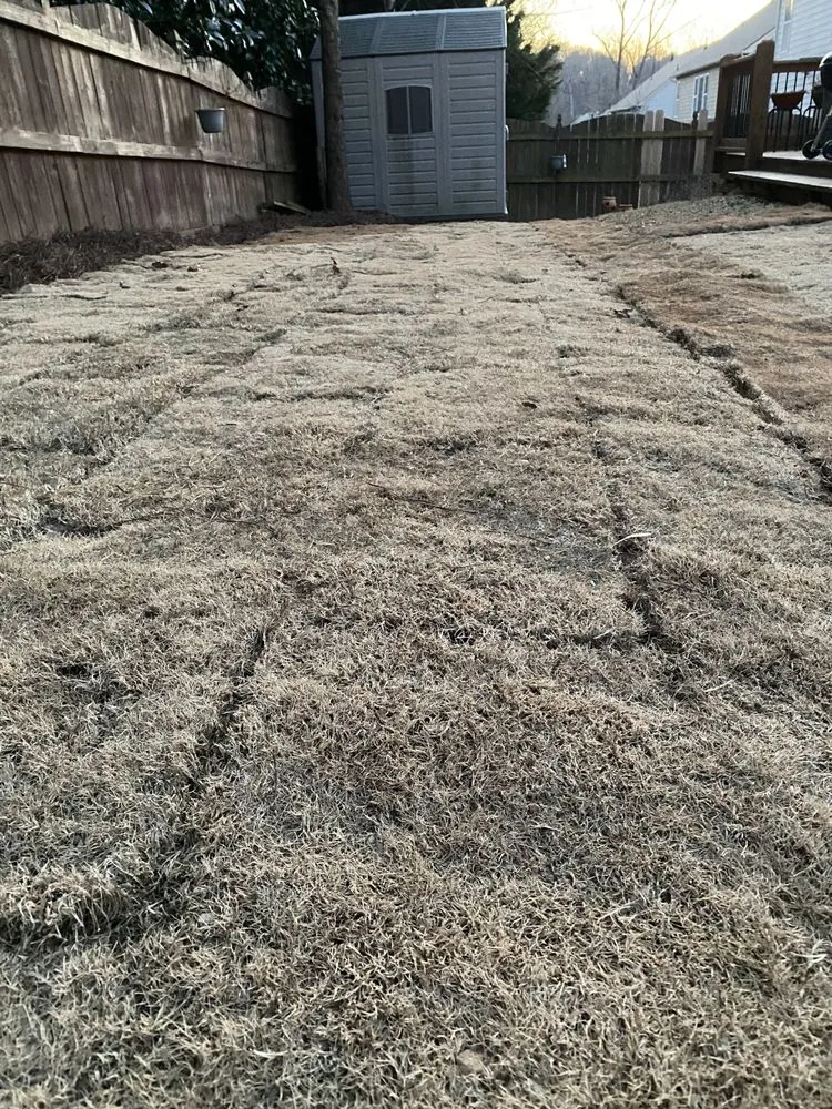 Affordable outdoor landscaping for residential properties across Lawrenceville, GA - Stepping Stones Lawn and Landscaping