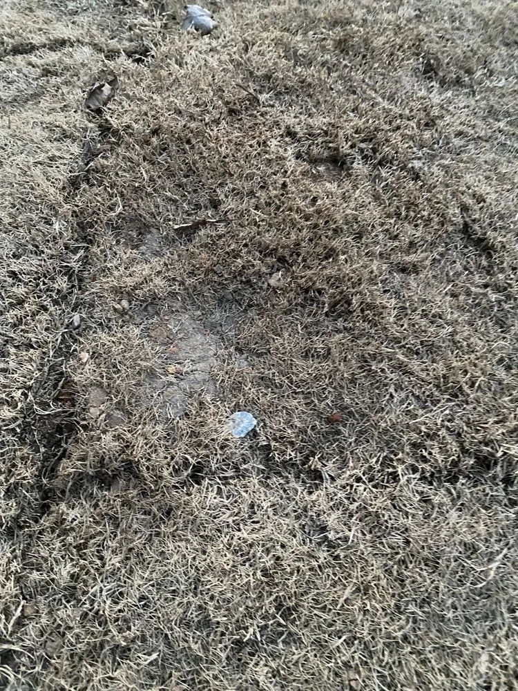 Expert landscape installation in Lawrenceville, GA by Stepping Stones Lawn and Landscaping