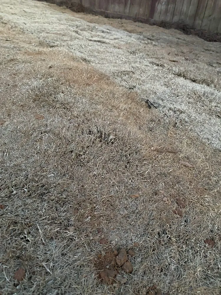 Top-rated outdoor landscaping in Lawrenceville, GA - Stepping Stones Lawn and Landscaping