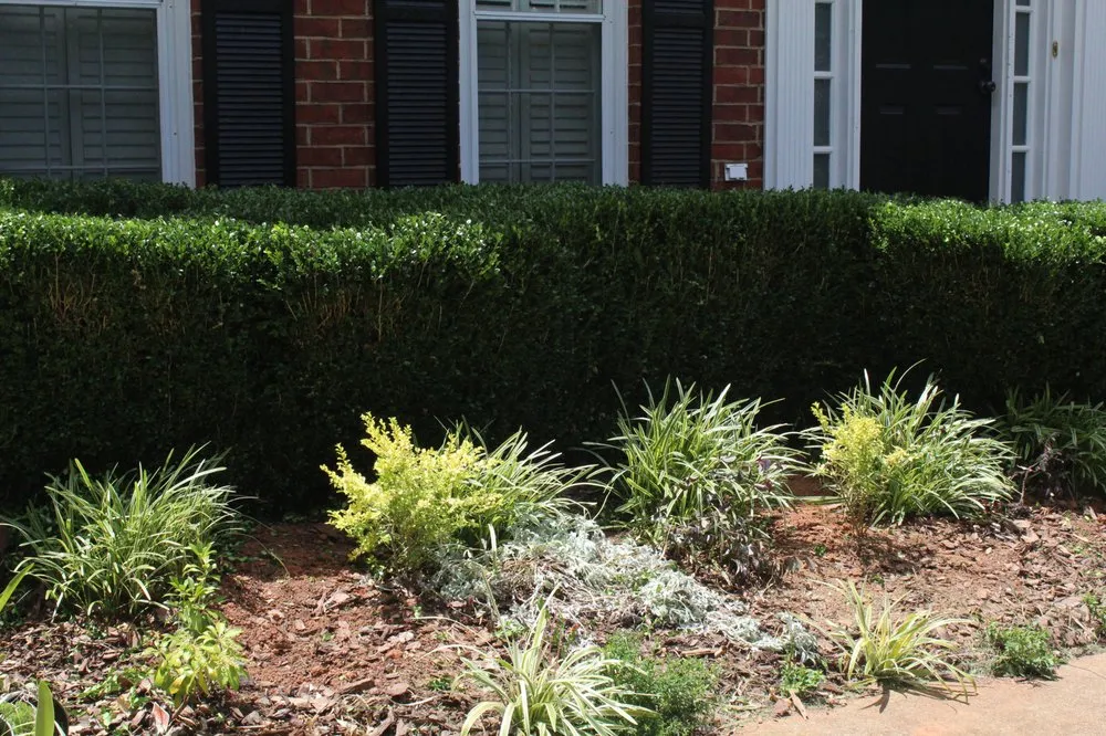 Top-rated landscape installation in Lawrenceville, GA - Stepping Stones Lawn and Landscaping