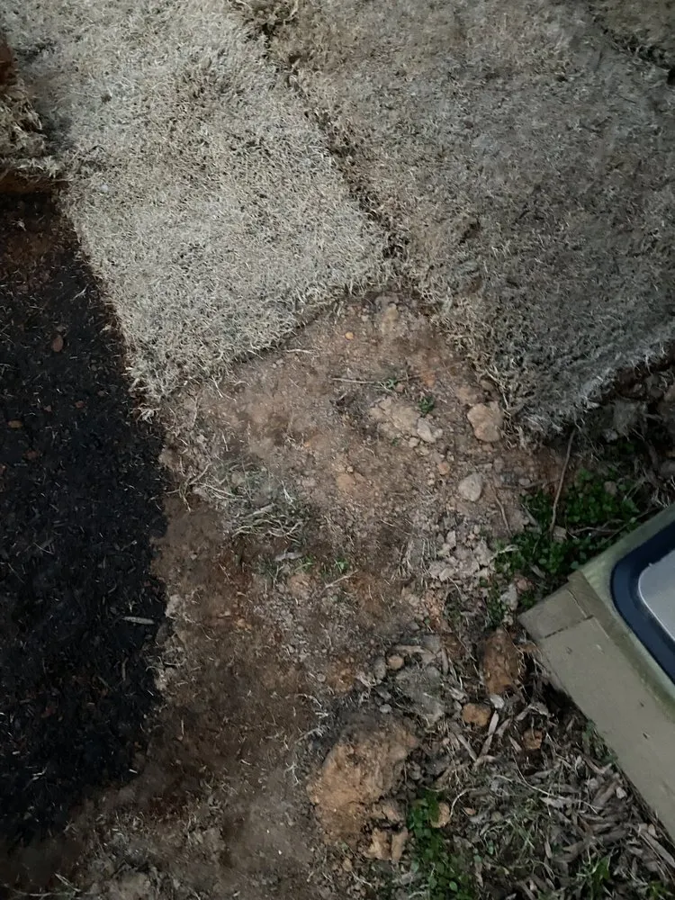 Reliable yard cleanup service with custom design in Lawrenceville, GA by Stepping Stones Lawn and Landscaping