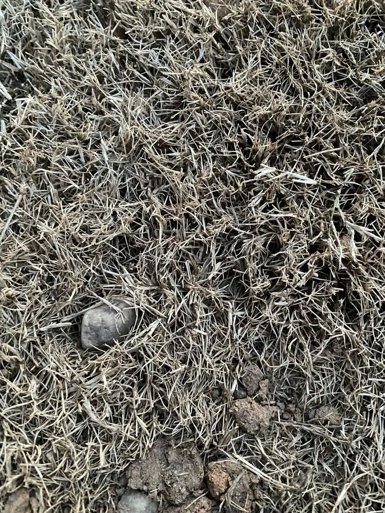 Trusted yard cleanup service in Lawrenceville, GA by Stepping Stones Lawn and Landscaping