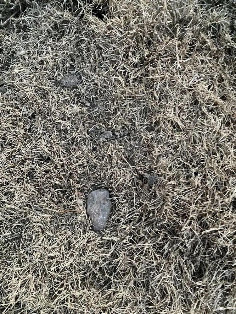 Custom outdoor landscaping in Lawrenceville, GA - Stepping Stones Lawn and Landscaping