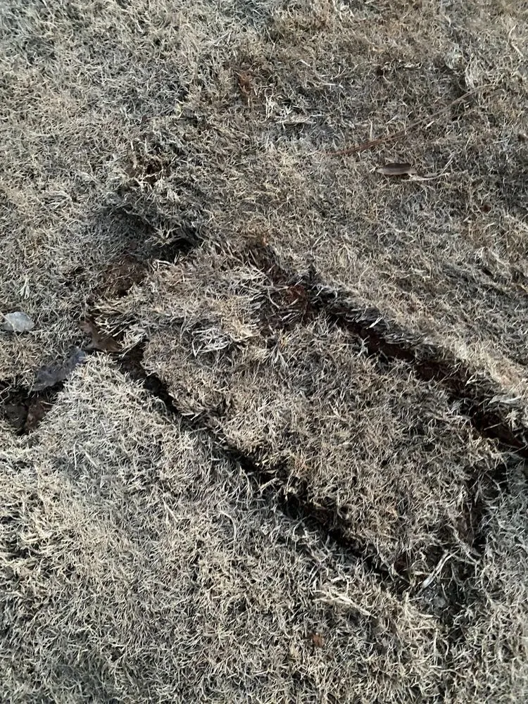 Local lawn care service experts serving Lawrenceville, GA - Stepping Stones Lawn and Landscaping