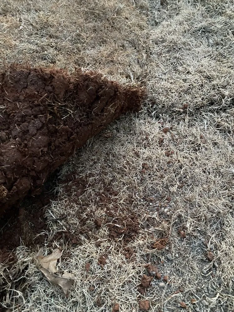 Trusted landscaping services for residential properties across Lawrenceville, GA - Stepping Stones Lawn and Landscaping