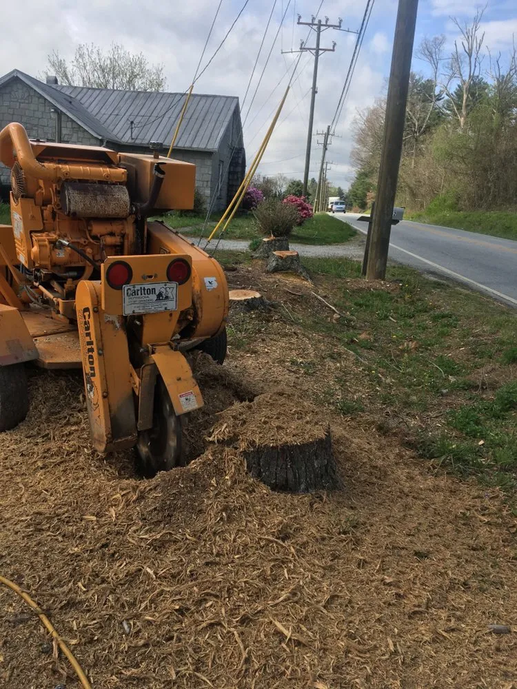 Local lawn mowing service in Easley, SC - Stepp’s Lawn Care & Landscaping