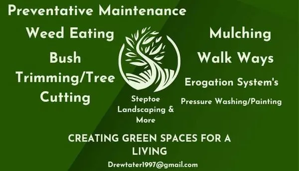 Steptoe's landscaping & mote Logo